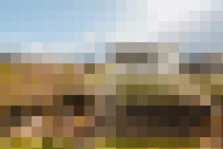 Lindewetering 26 Abcoude thumbnail 19