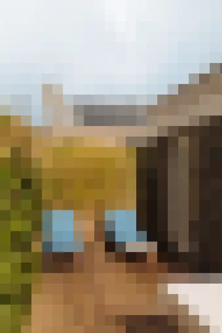 Lindewetering 26 Abcoude thumbnail 20