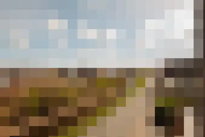 Lindewetering 26 Abcoude thumbnail 26