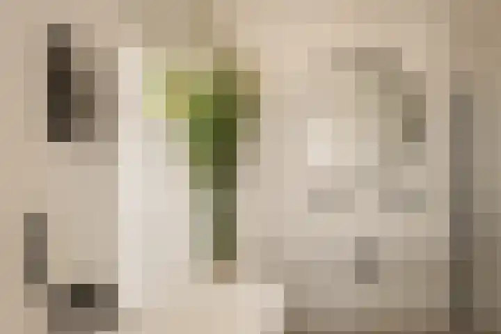 Lindewetering 26 Abcoude thumbnail 31