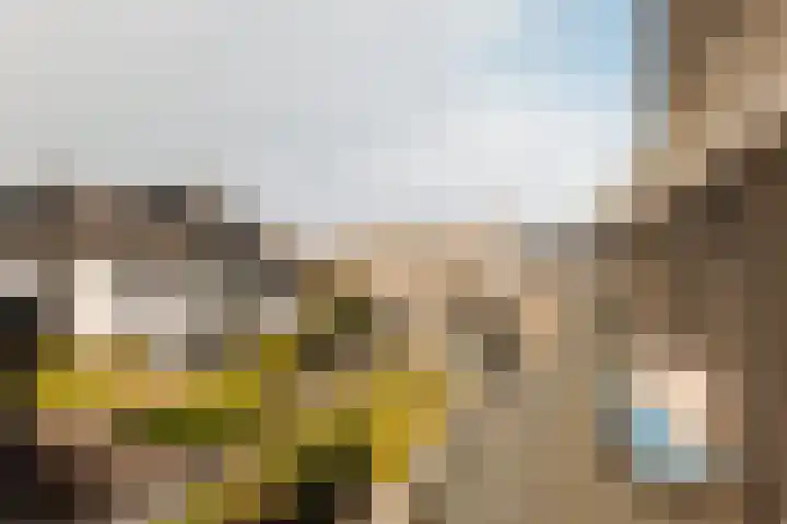 Lindewetering 26 Abcoude thumbnail 34