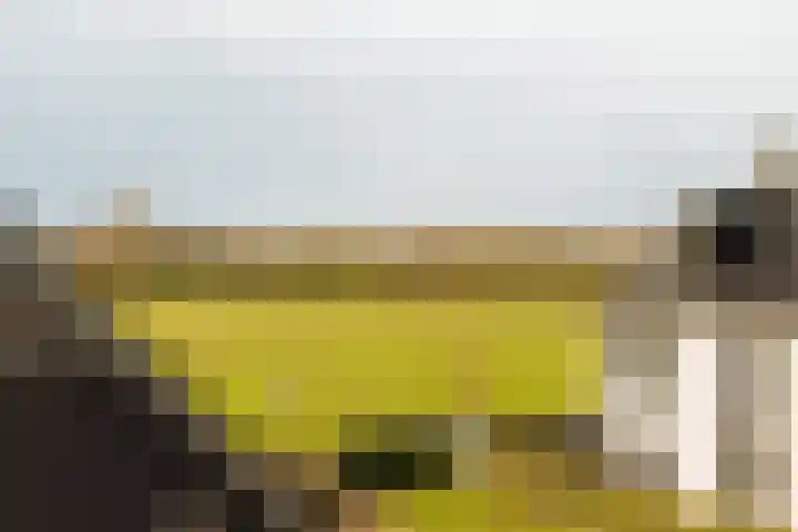 Lindewetering 26 Abcoude thumbnail 35
