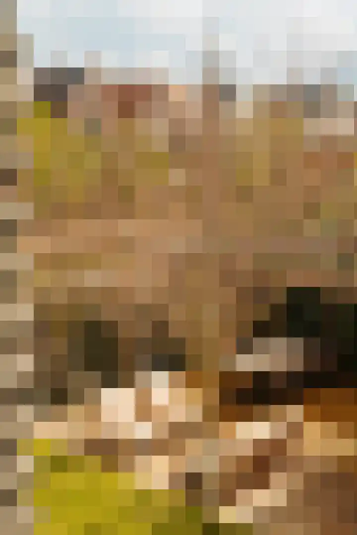 Lindewetering 26 Abcoude thumbnail 36