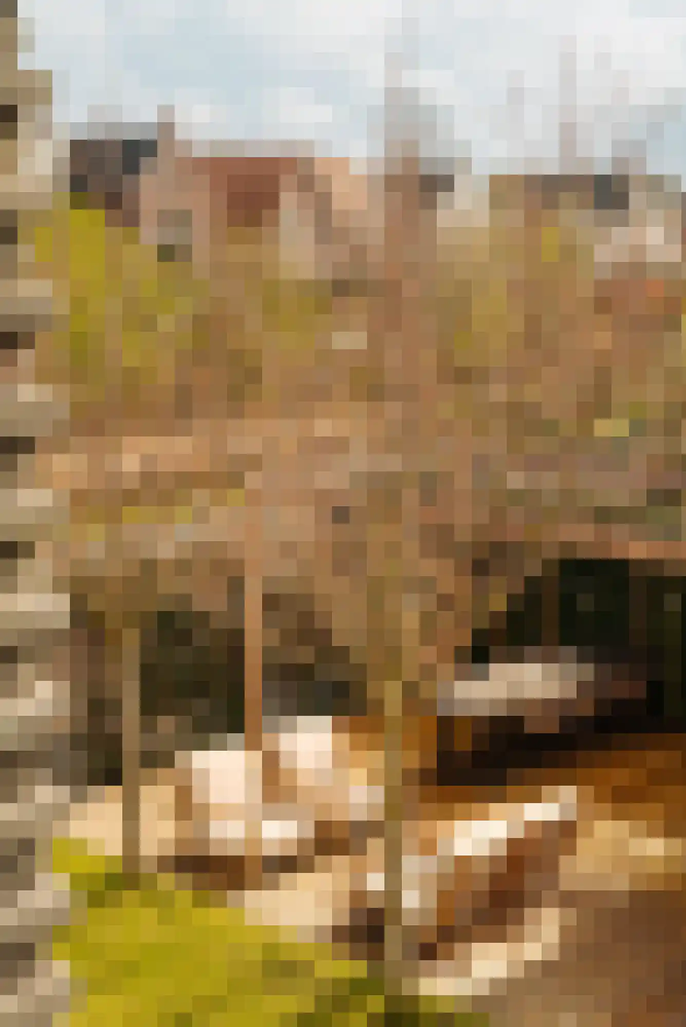 Lindewetering 26 Abcoude thumbnail 36