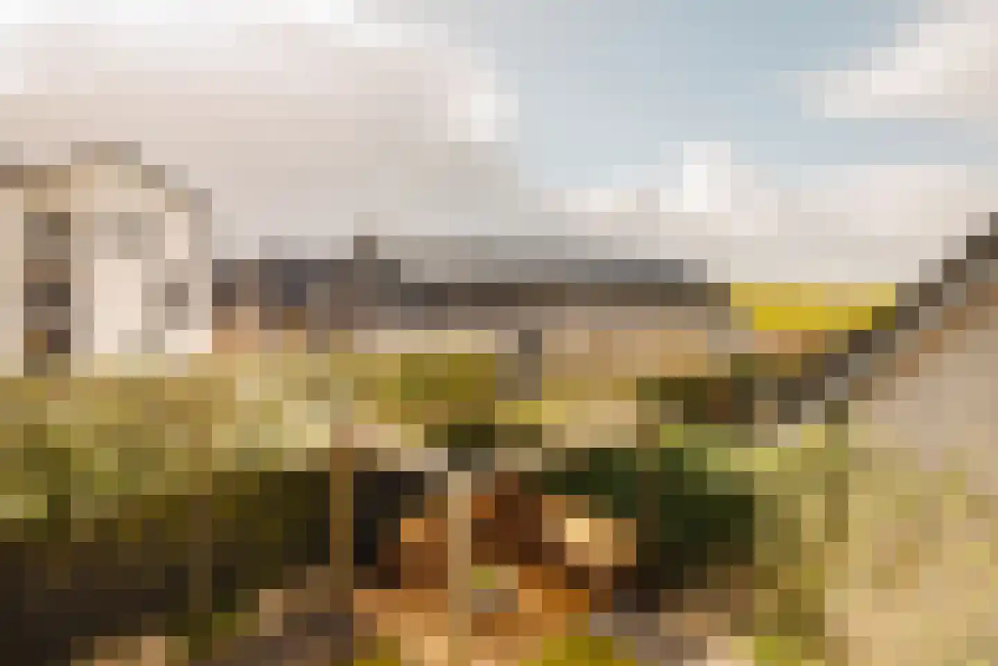 Lindewetering 26 Abcoude thumbnail 42