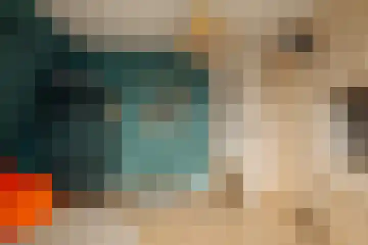 Lindewetering 26 Abcoude thumbnail 44