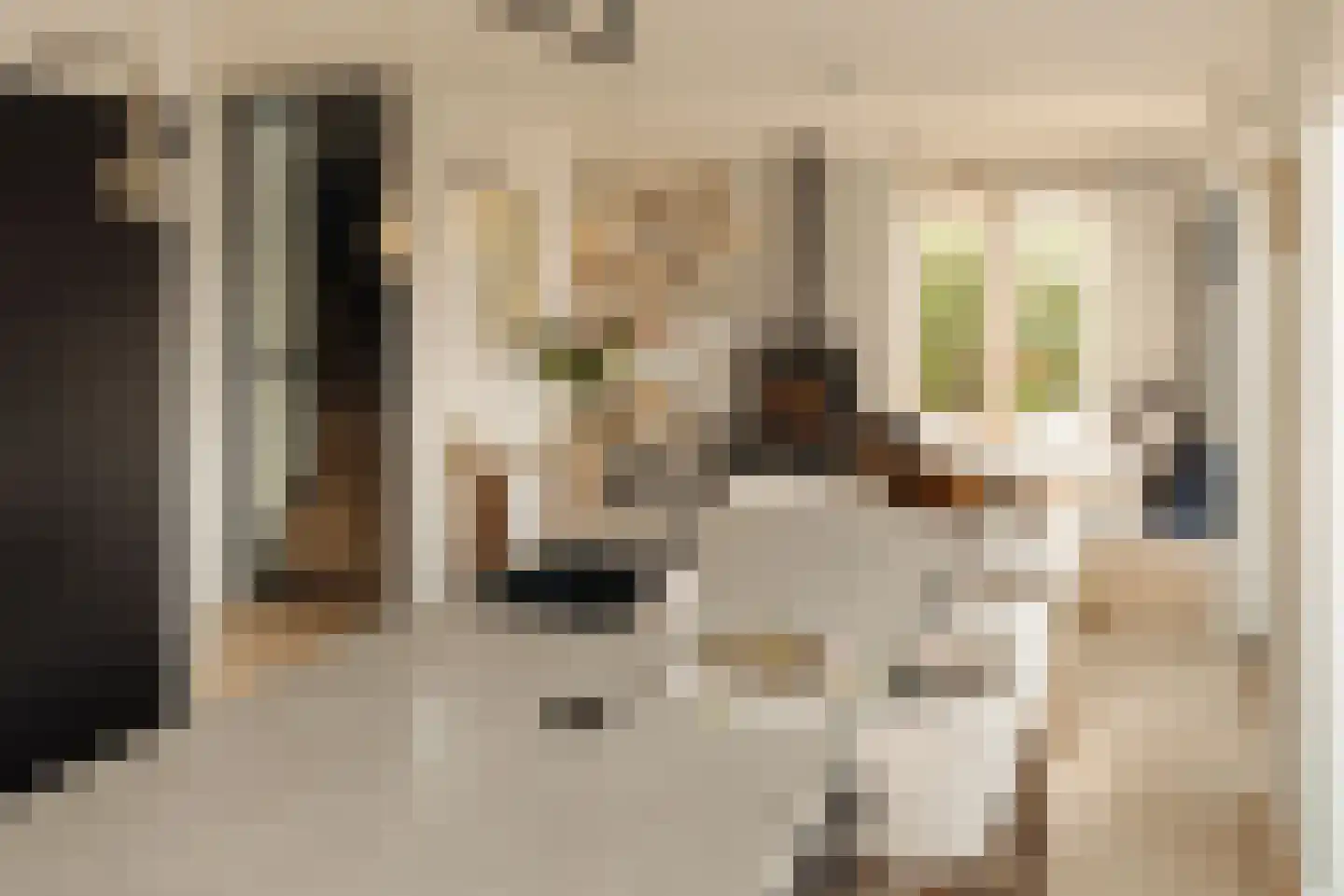Lindewetering 26 Abcoude thumbnail 8