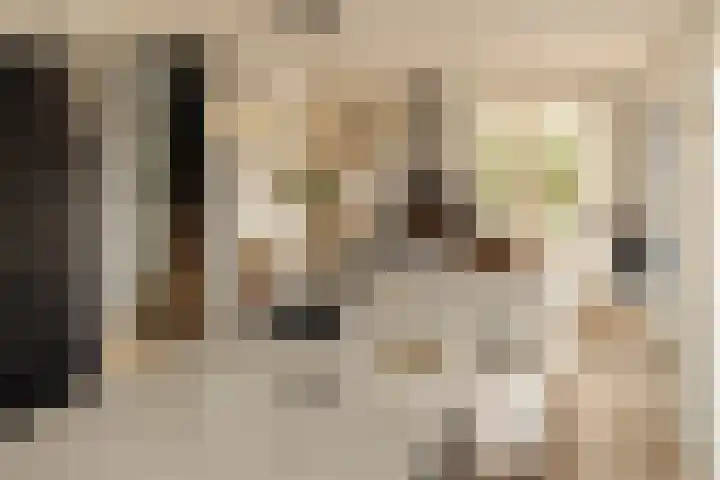 Lindewetering 26 Abcoude thumbnail 8