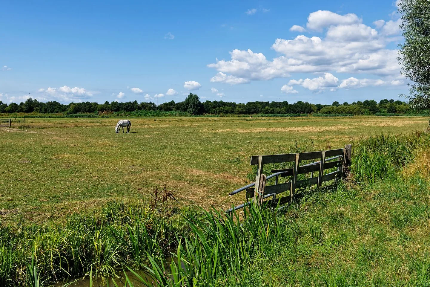 Lindewetering 30 Abcoude thumbnail 57