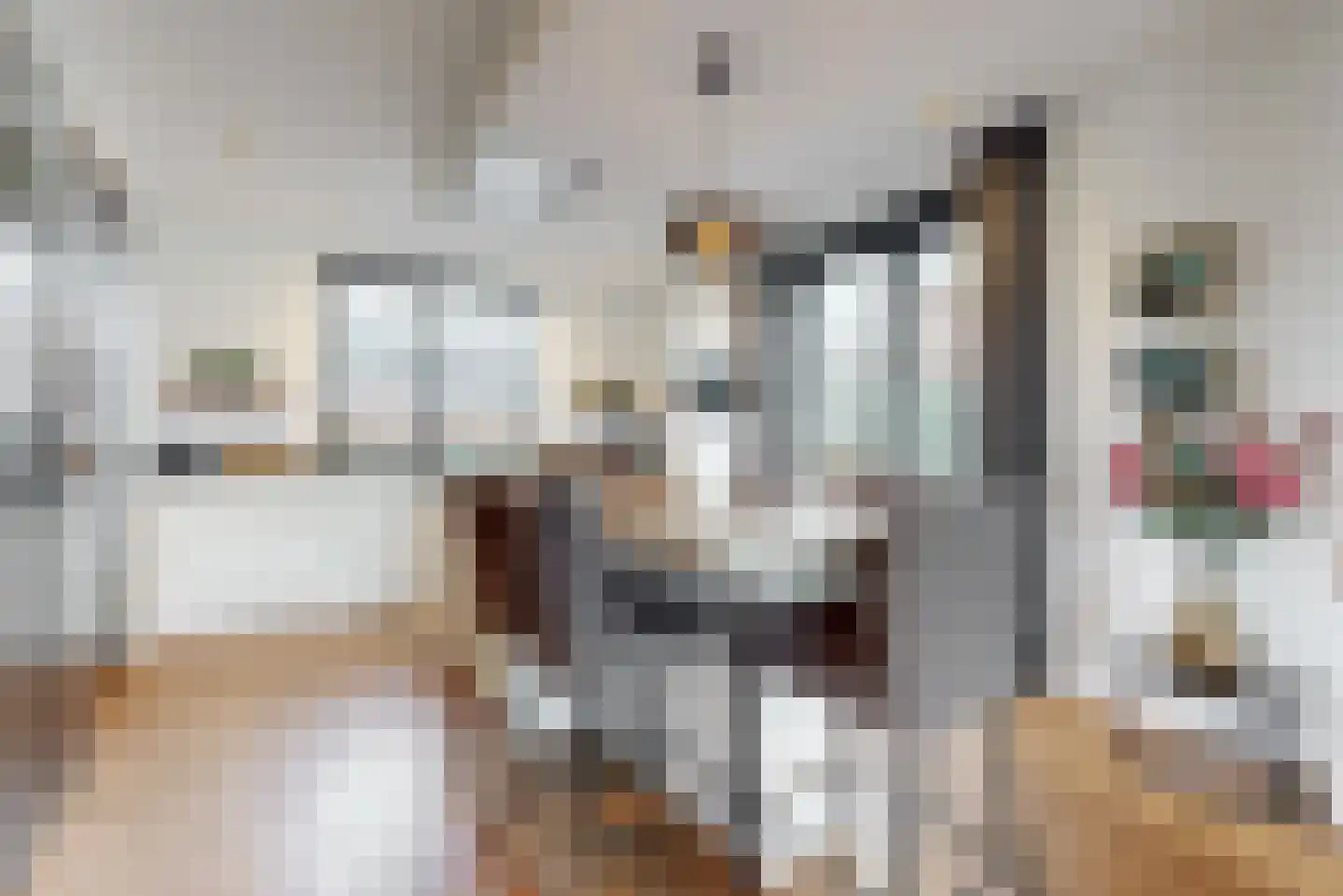 Lindewetering 6 Abcoude thumbnail 11