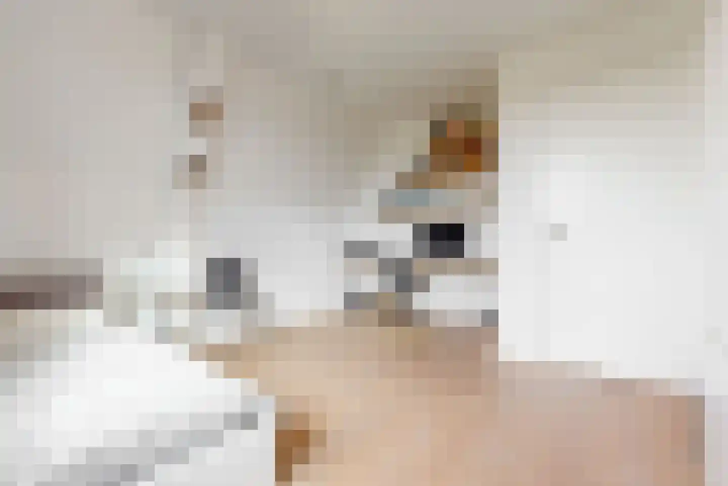 Lindewetering 6 Abcoude thumbnail 18