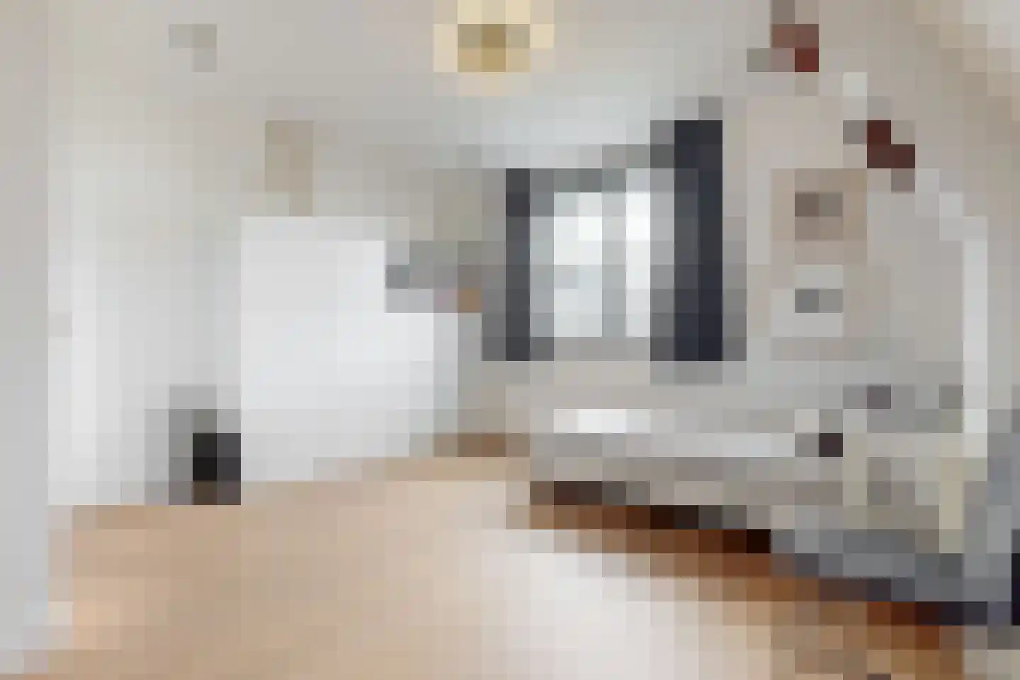 Lindewetering 6 Abcoude thumbnail 19