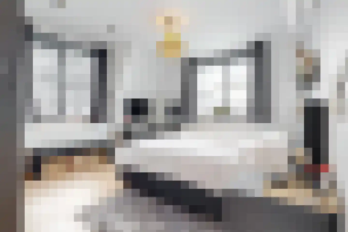 Lindewetering 6 Abcoude thumbnail 20