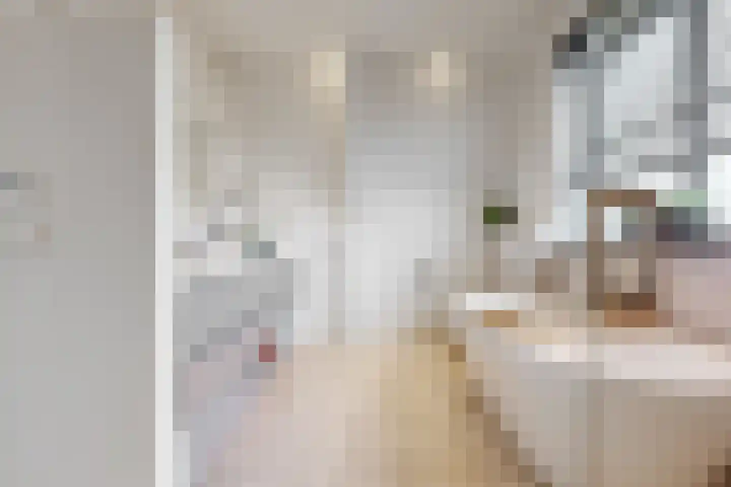 Lindewetering 6 Abcoude thumbnail 24
