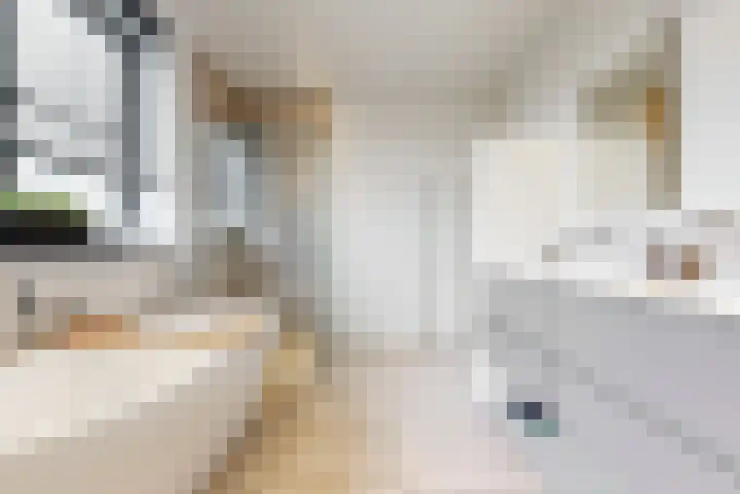 Lindewetering 6 Abcoude thumbnail 25