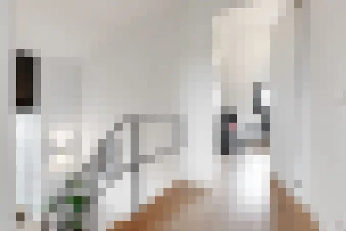 Lindewetering 6 Abcoude thumbnail 30