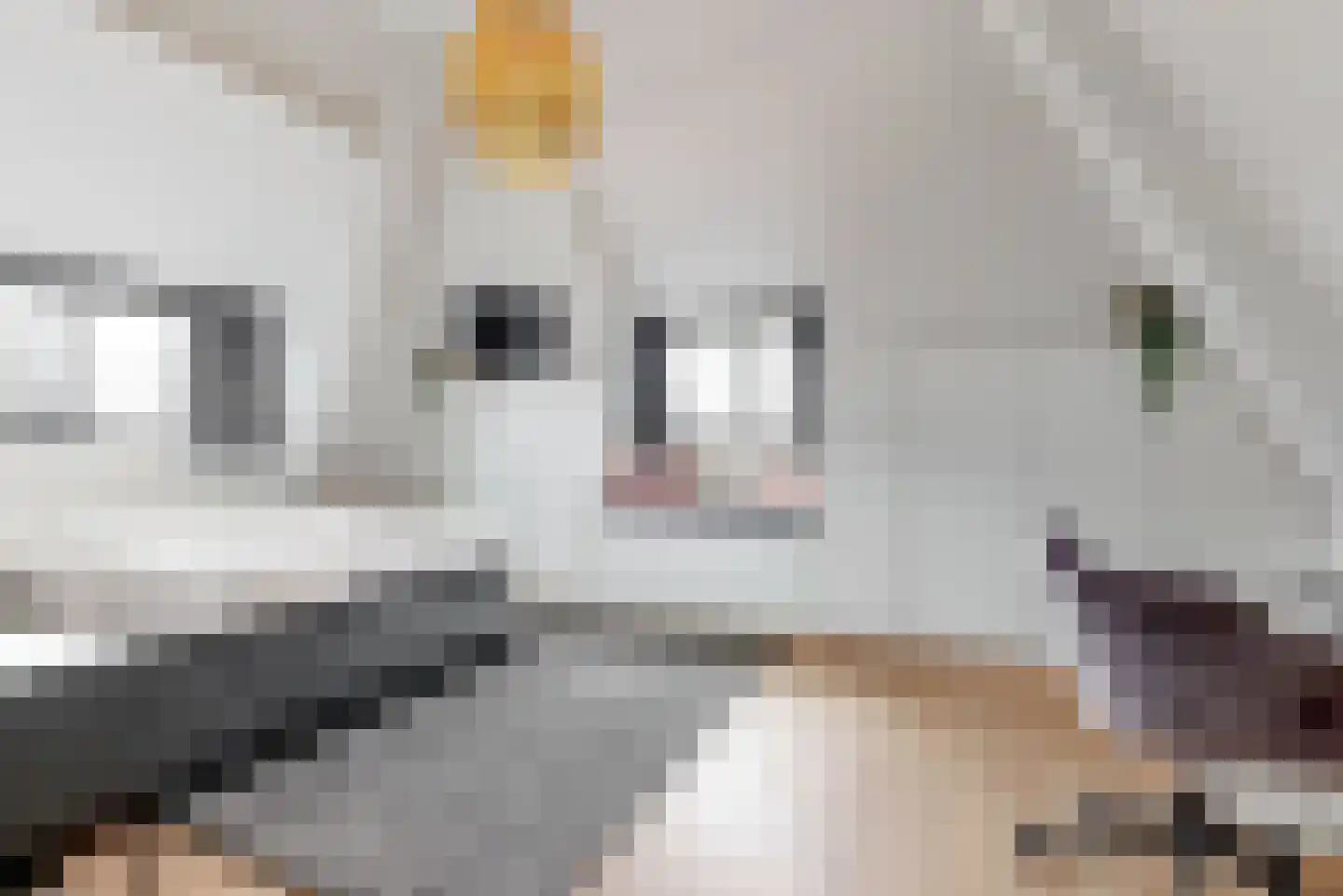 Lindewetering 6 Abcoude thumbnail 31