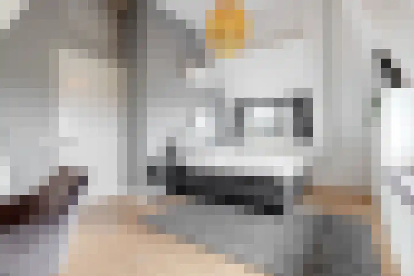 Lindewetering 6 Abcoude thumbnail 32