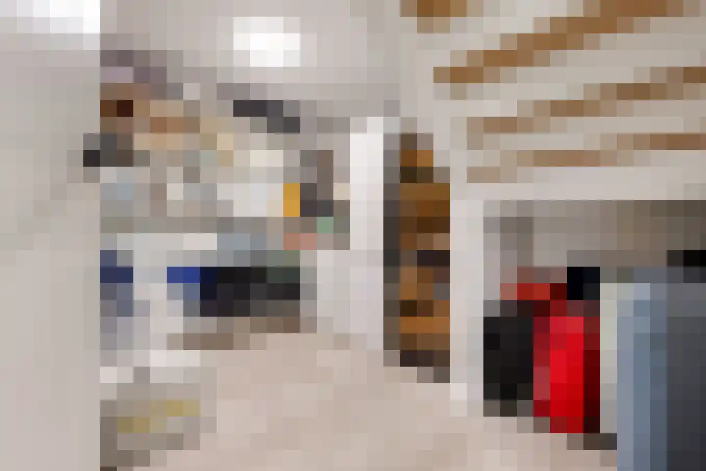 Lindewetering 6 Abcoude thumbnail 37