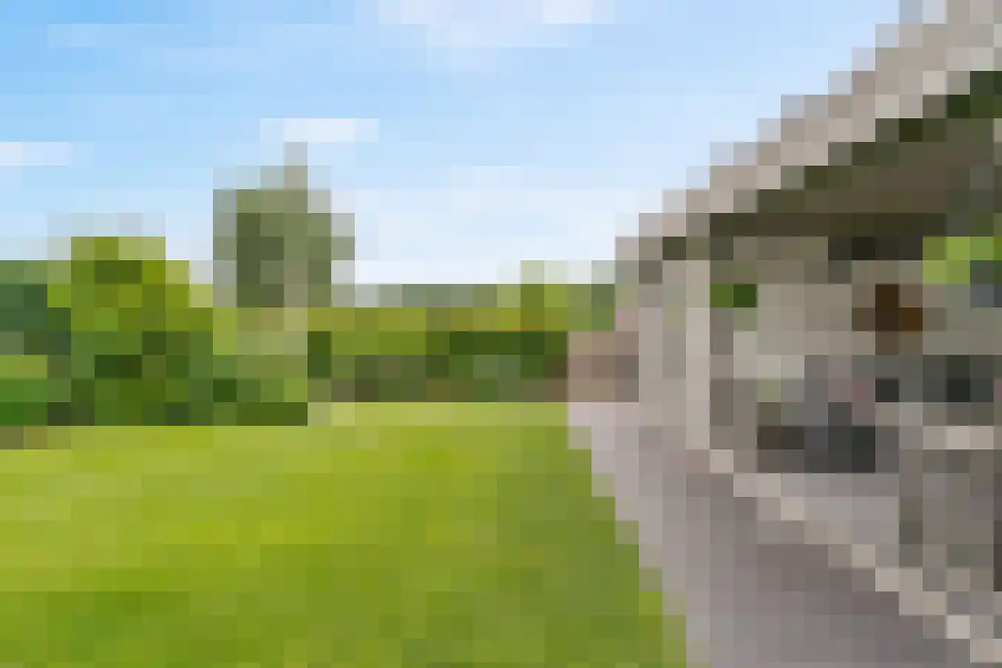 Lindewetering 6 Abcoude thumbnail 38