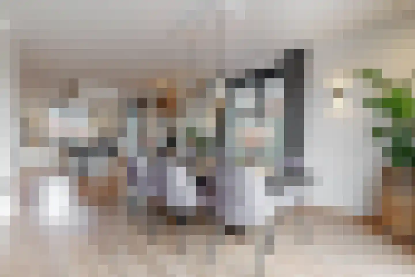 Lindewetering 6 Abcoude thumbnail 4
