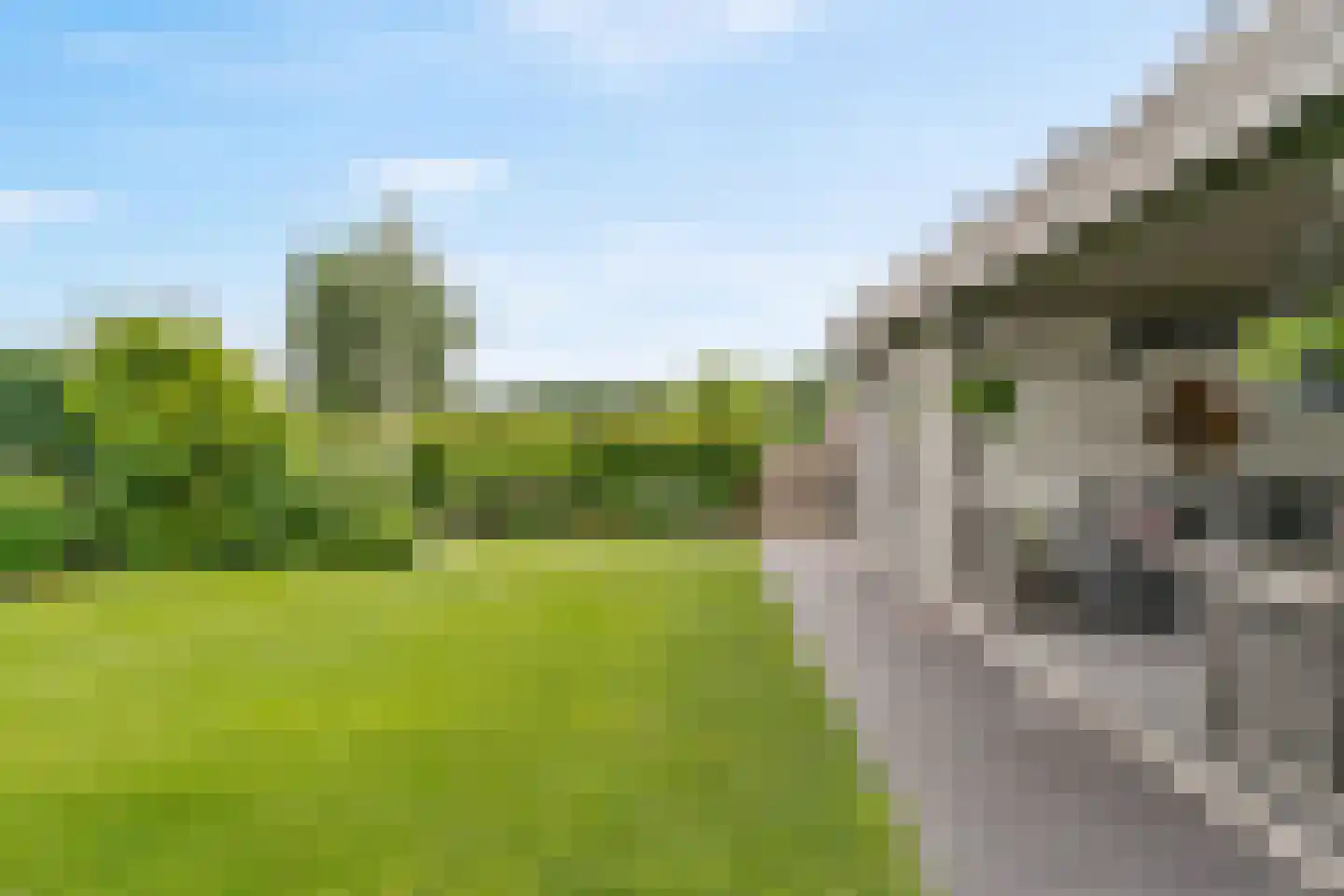 Lindewetering 6 Abcoude thumbnail 40