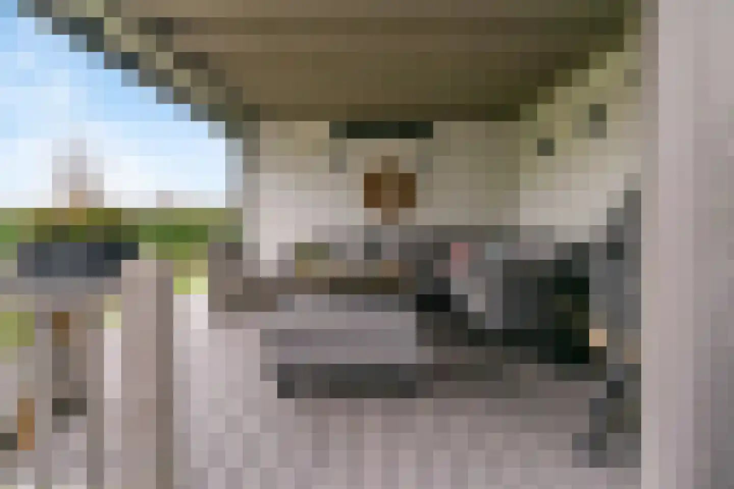 Lindewetering 6 Abcoude thumbnail 42