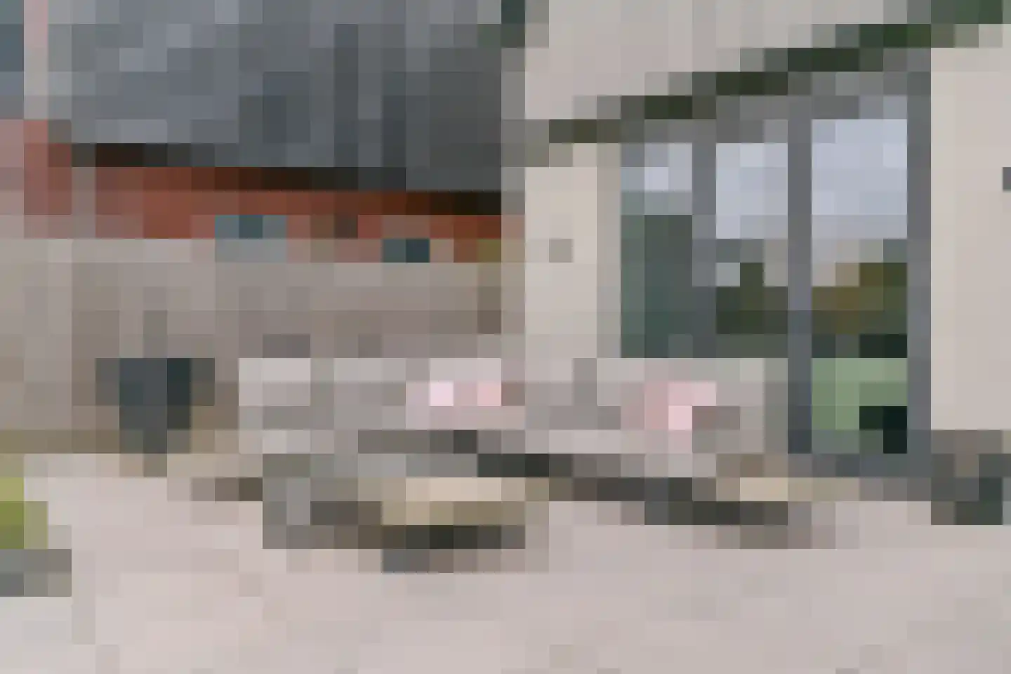 Lindewetering 6 Abcoude thumbnail 44