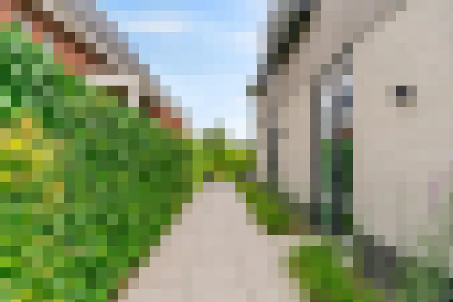 Lindewetering 6 Abcoude thumbnail 46