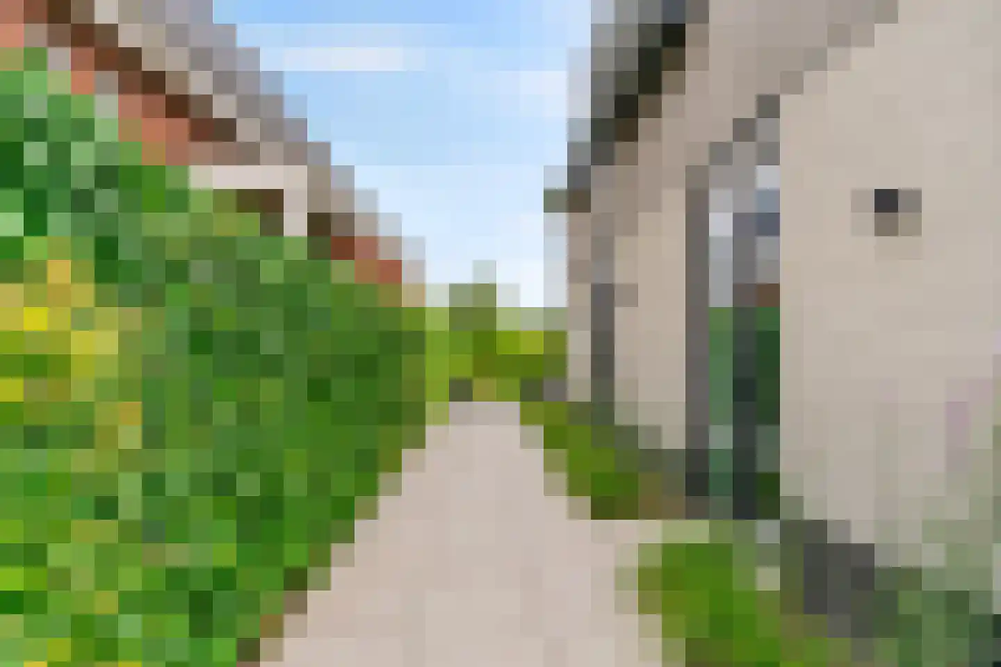 Lindewetering 6 Abcoude thumbnail 48