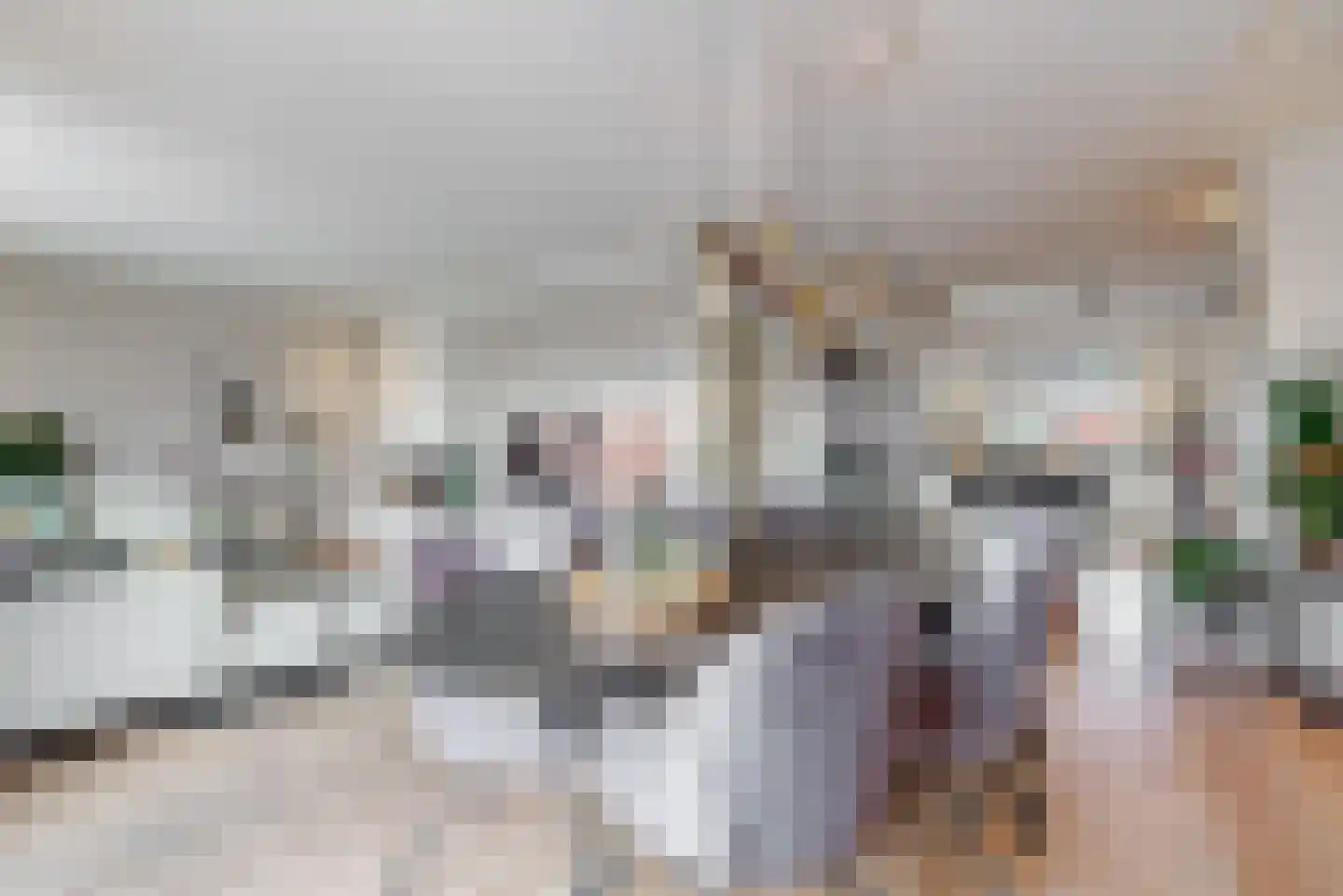 Lindewetering 6 Abcoude thumbnail 5