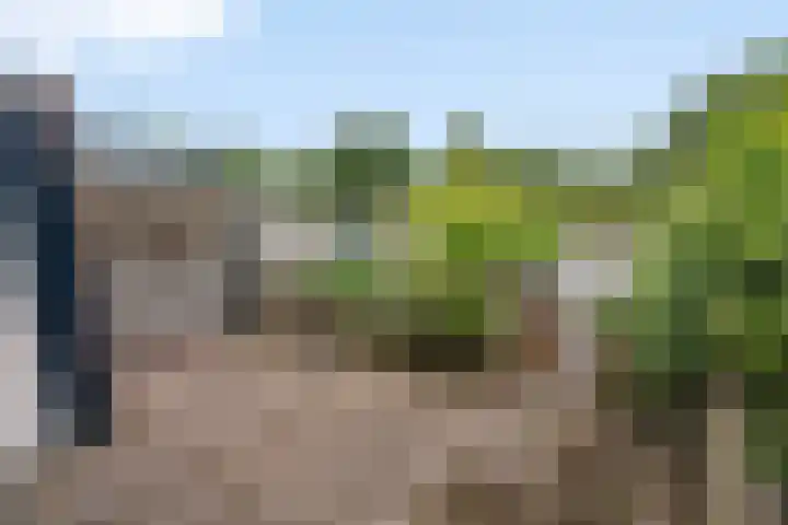 Lindholm 107 Hoofddorp thumbnail 18
