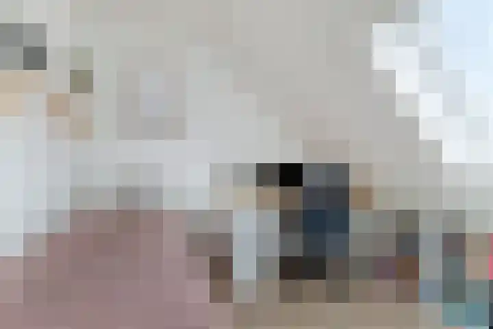 Lindholm 107 Hoofddorp thumbnail 24