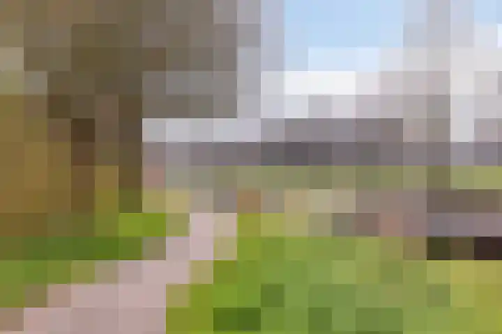 Lindholm 107 Hoofddorp thumbnail 28