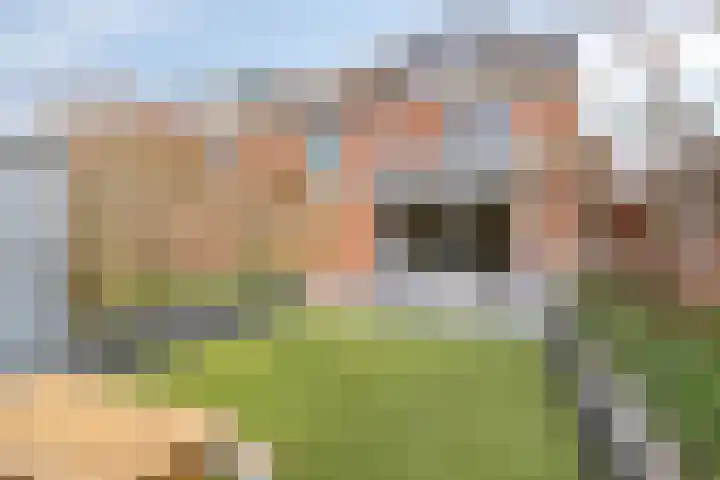 Lindholm 107 Hoofddorp thumbnail 4