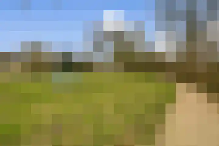 Lindholm 183 Hoofddorp thumbnail 19
