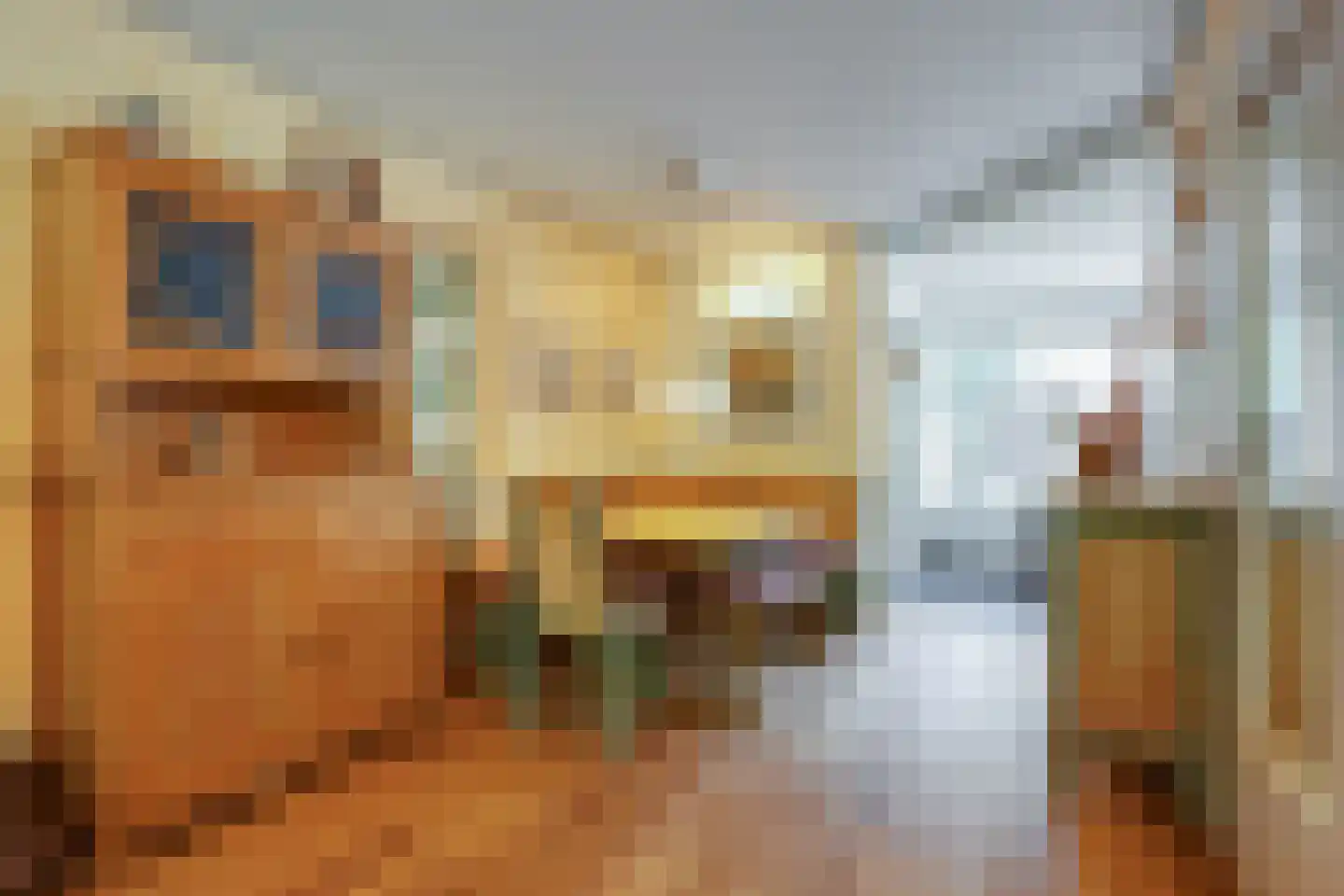 Lindholm 241 Hoofddorp thumbnail 10