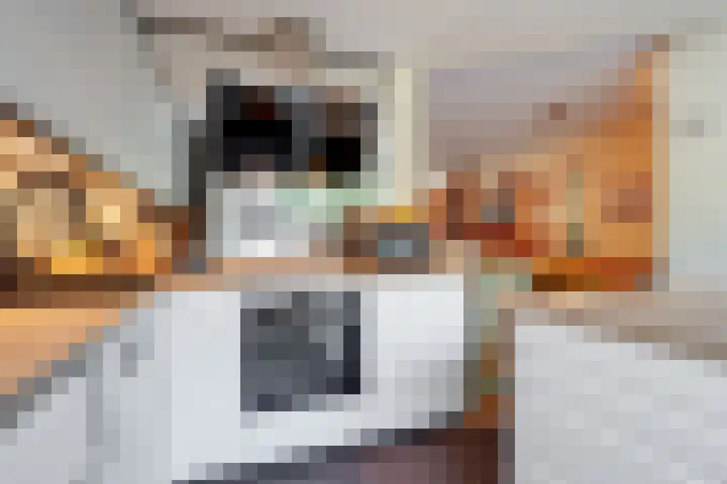 Lindholm 241 Hoofddorp thumbnail 12