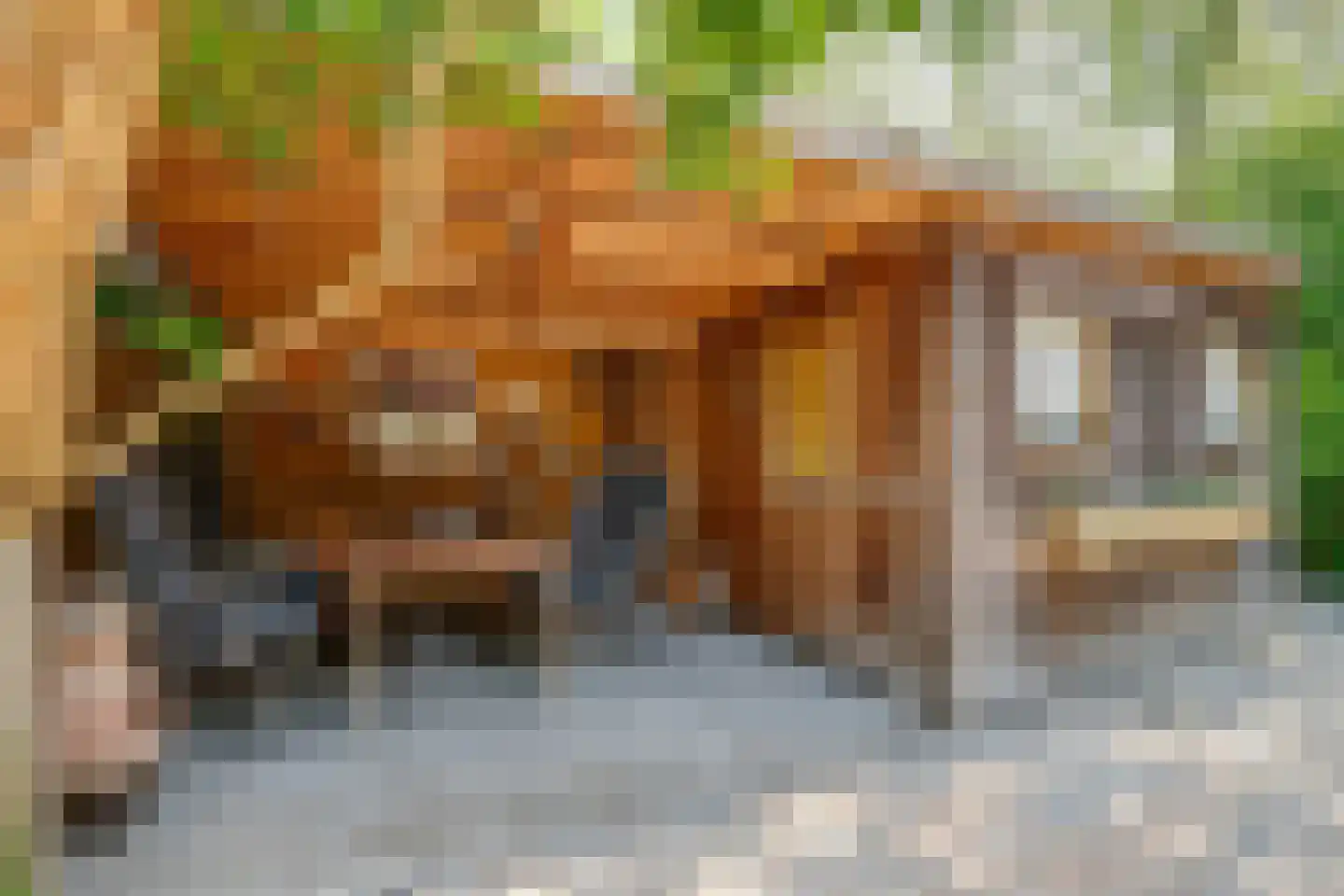 Lindholm 241 Hoofddorp thumbnail 35