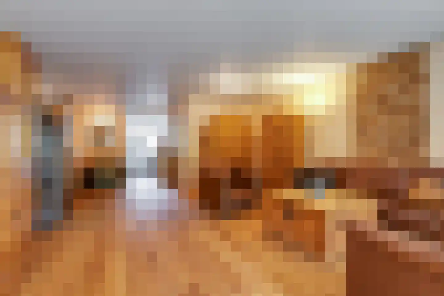 Lindholm 241 Hoofddorp thumbnail 9