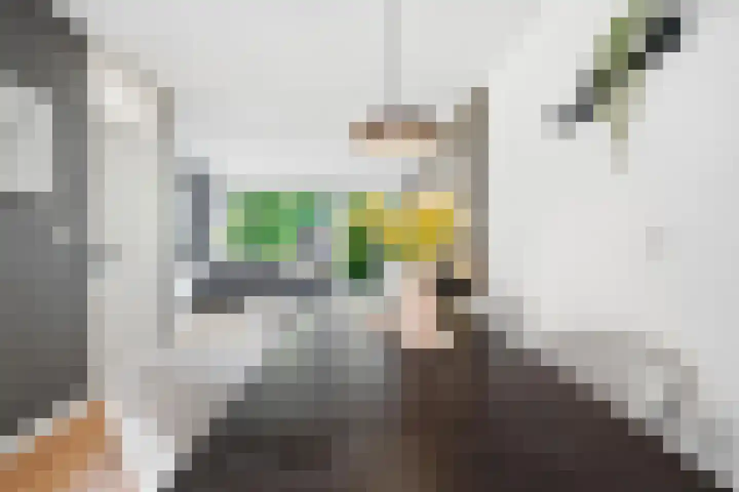 Lindholm 255 Hoofddorp thumbnail 15
