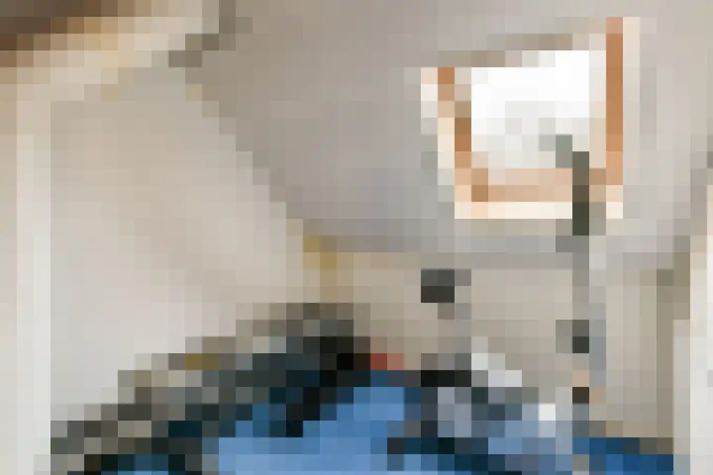 Lindholm 255 Hoofddorp thumbnail 23