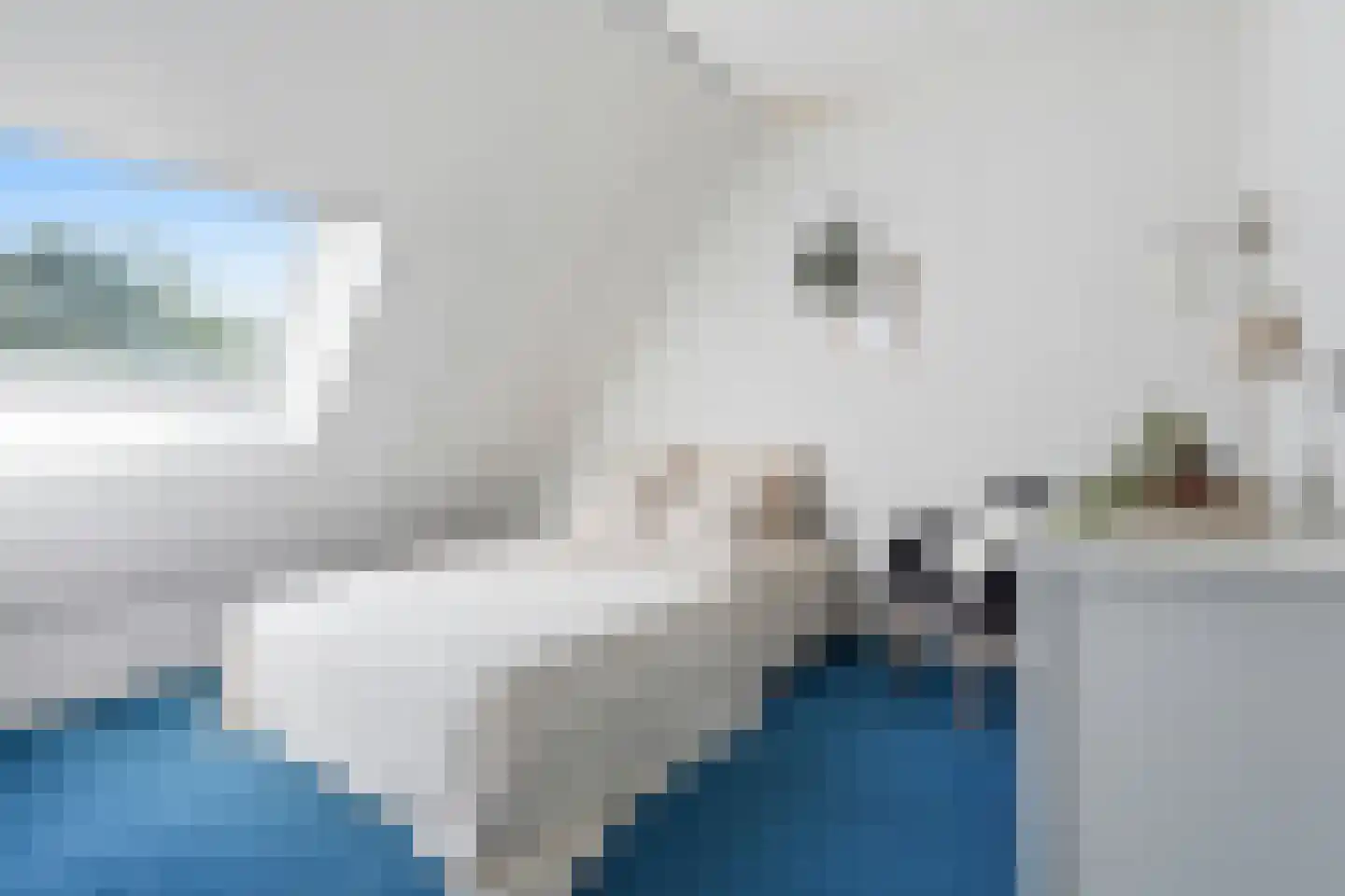 Lindholm 255 Hoofddorp thumbnail 24