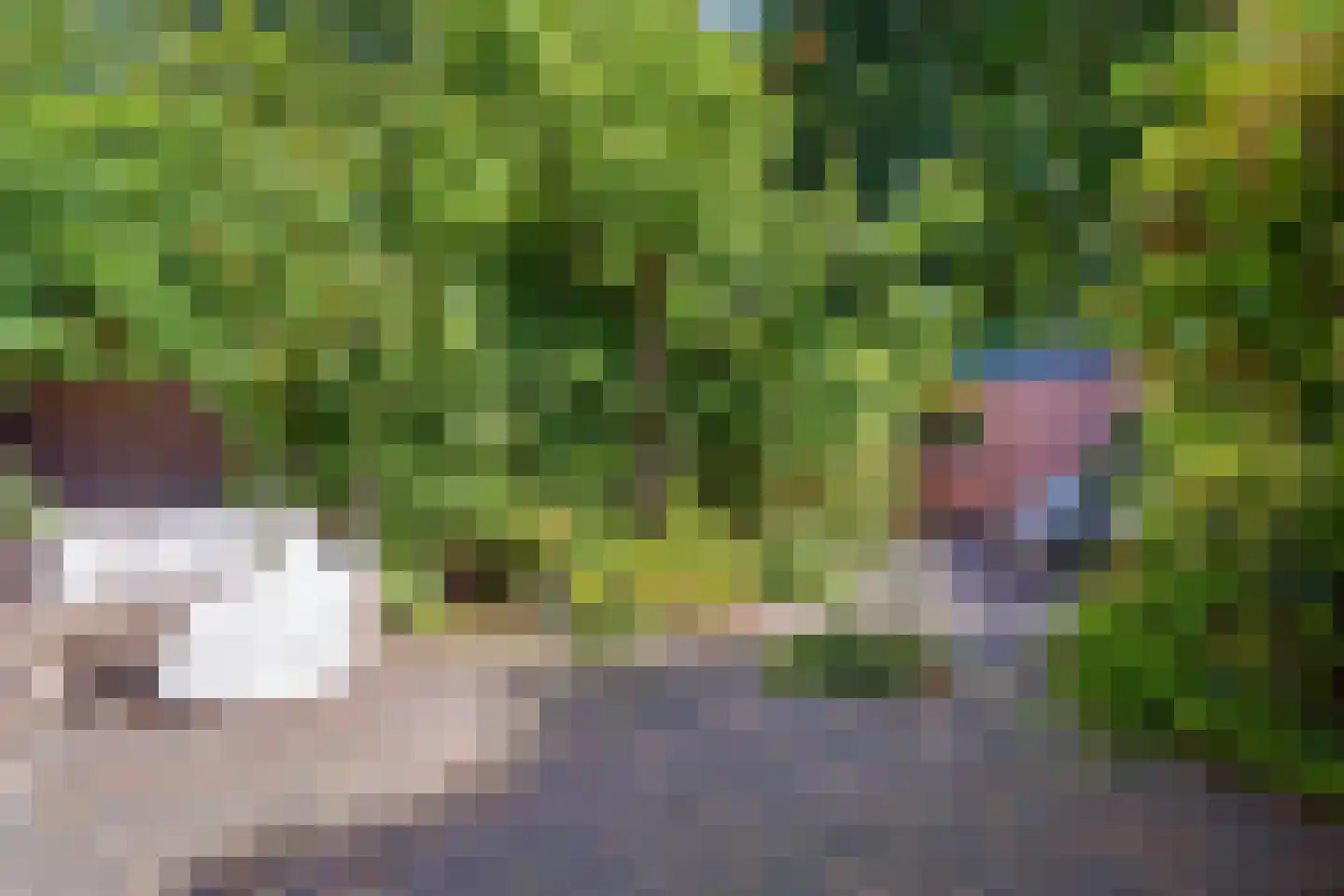 Lindholm 255 Hoofddorp thumbnail 27