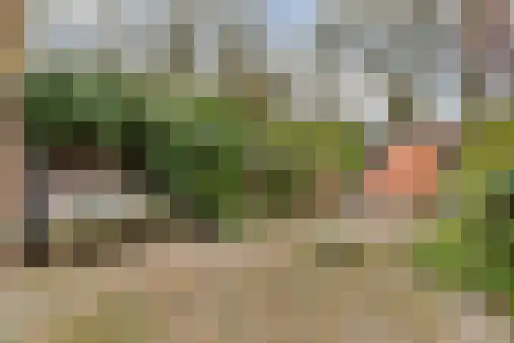Lindholm 255 Hoofddorp thumbnail 5