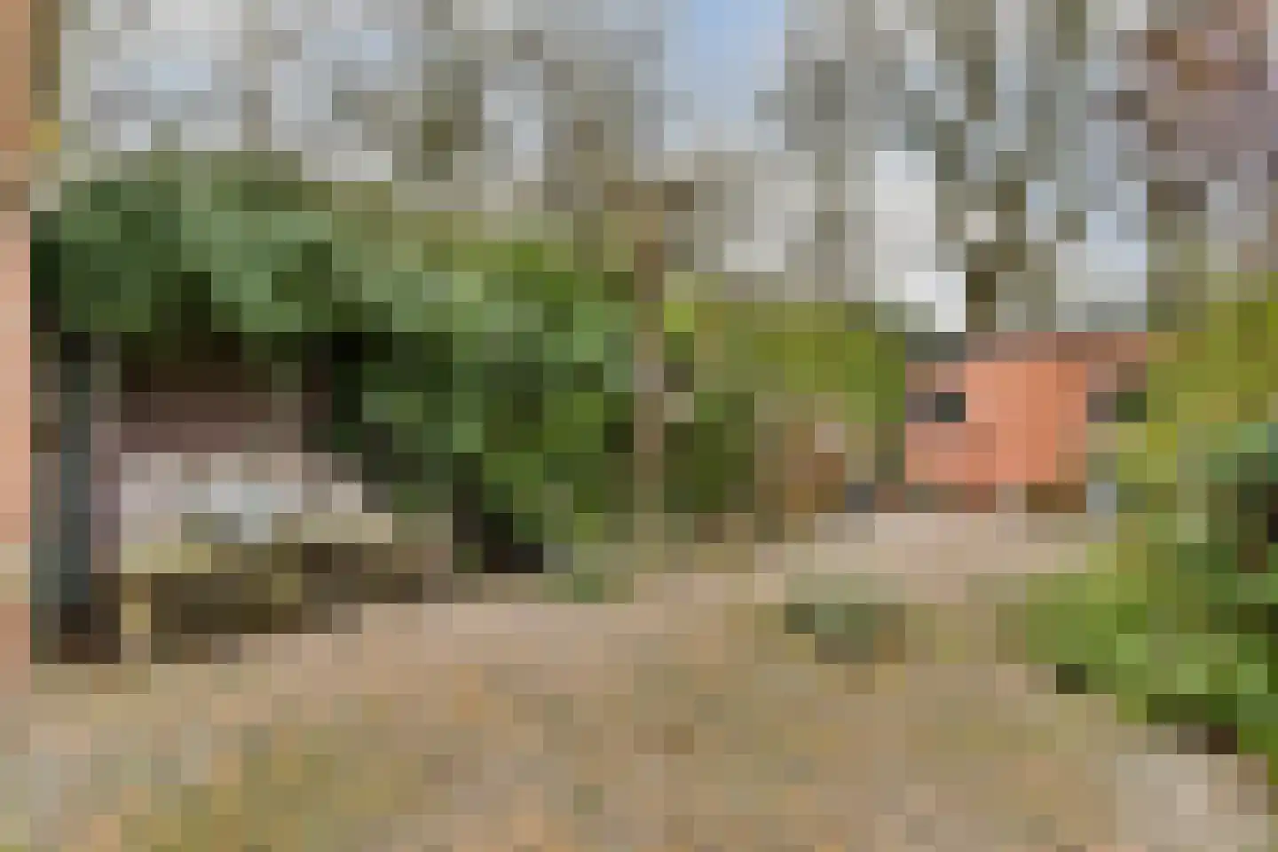 Lindholm 255 Hoofddorp thumbnail 5