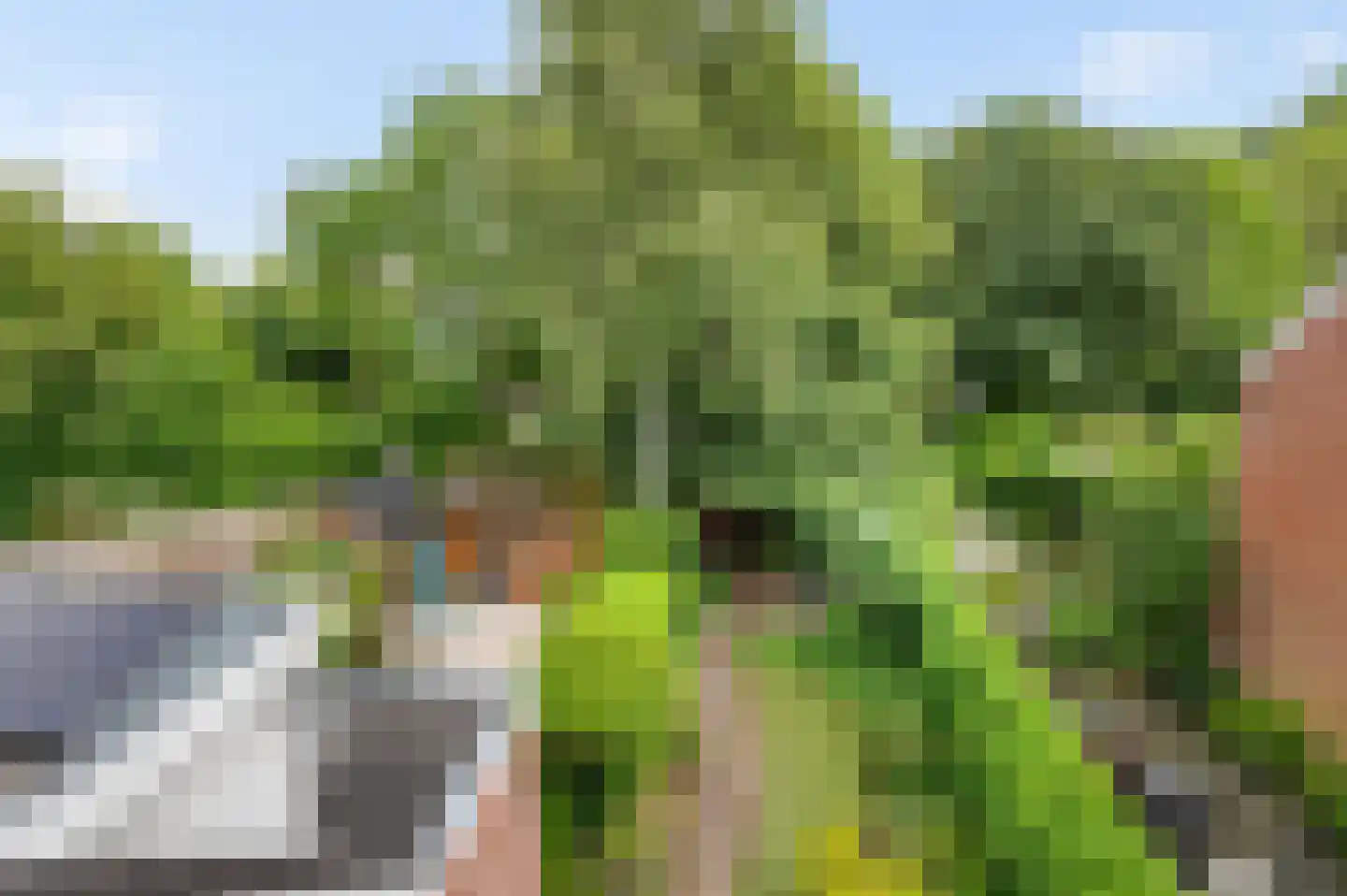 Lindholm 259 Hoofddorp thumbnail 29