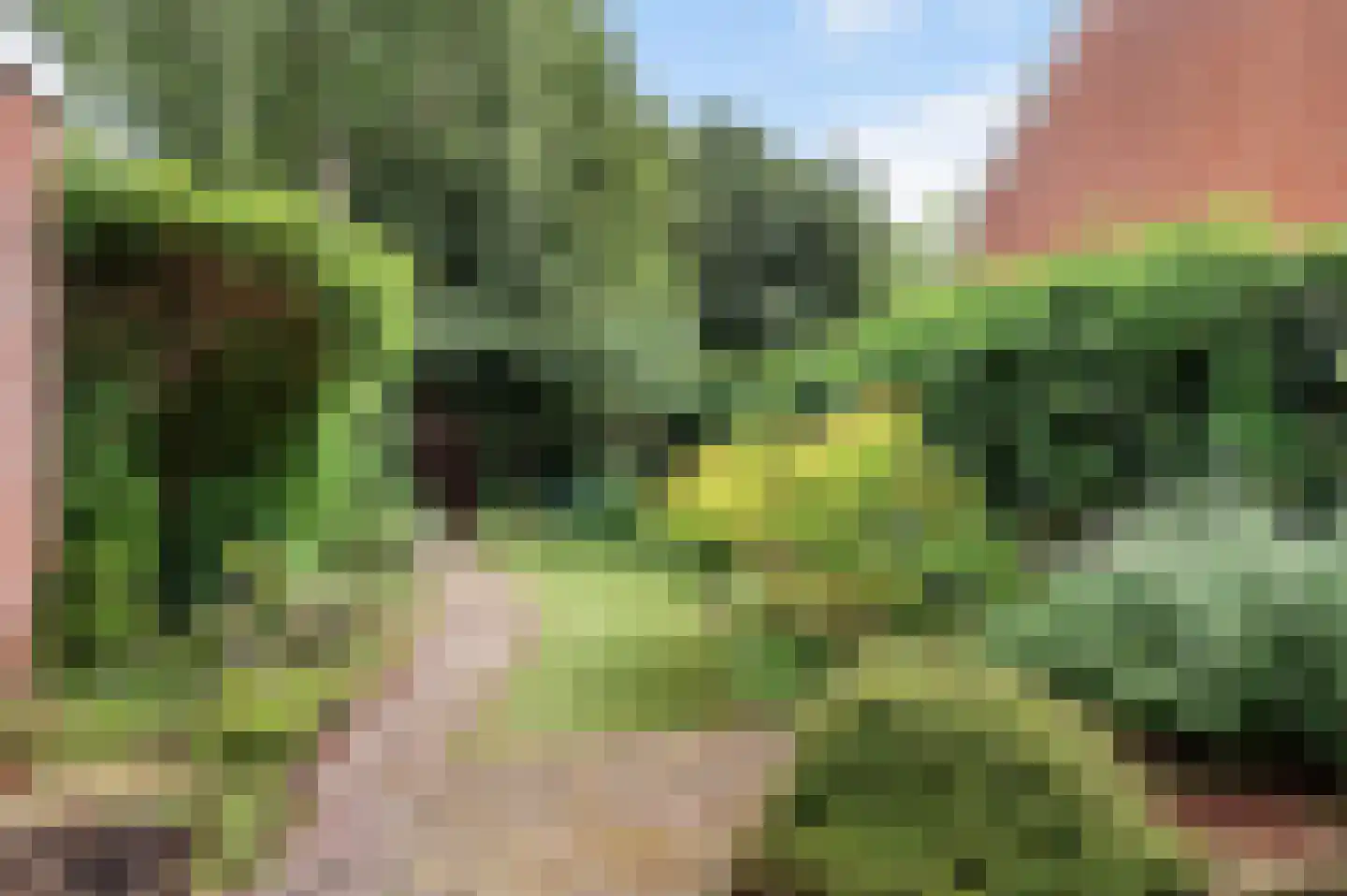 Lindholm 259 Hoofddorp thumbnail 30
