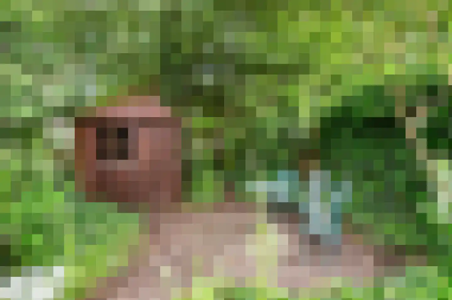 Lindholm 259 Hoofddorp thumbnail 31