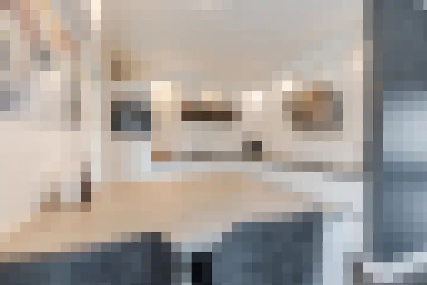Lindonk 64 Zevenbergen thumbnail 19